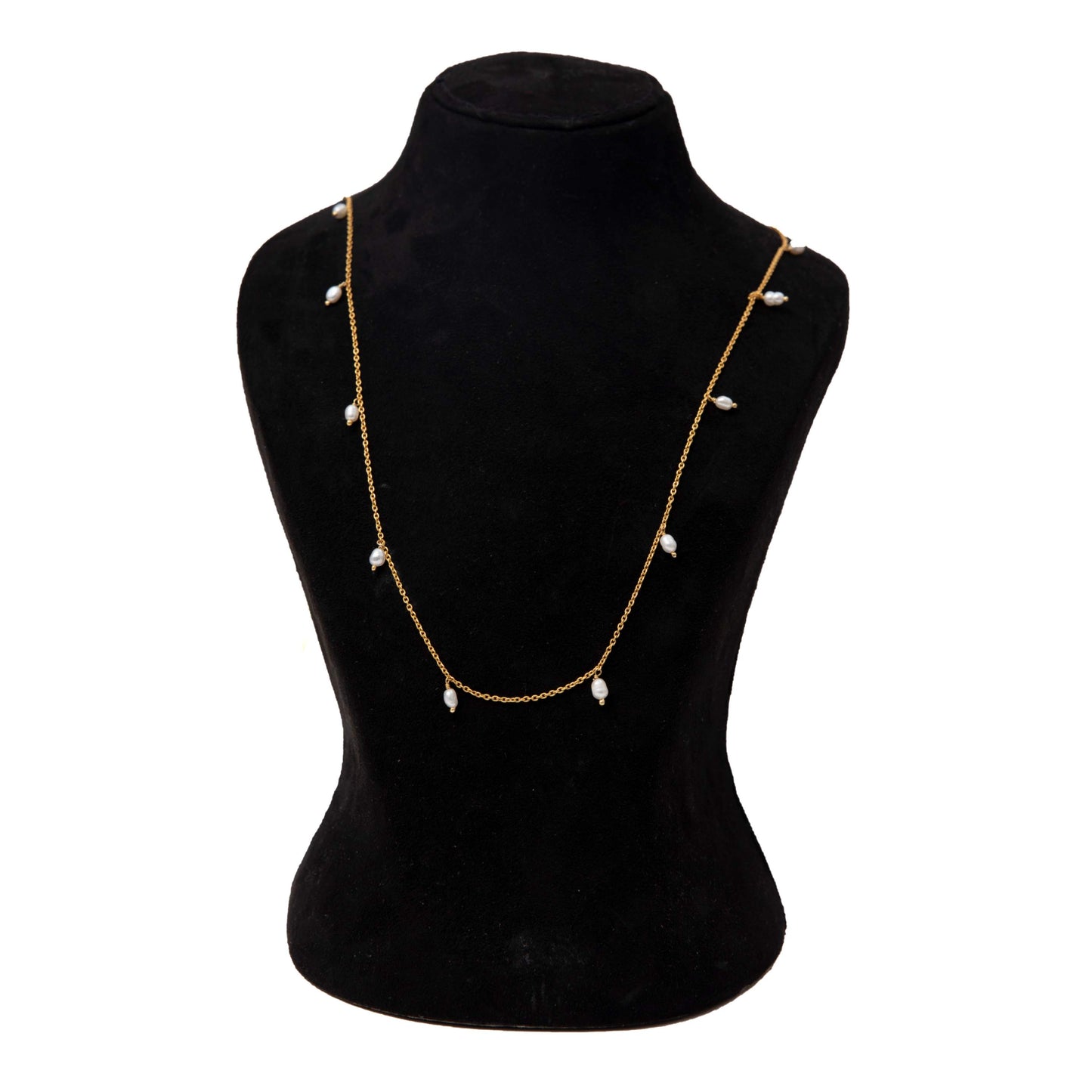 Evergreen Long Chains